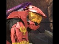 Pachter: Halo To Sell 3 Million In 12 Days, $99 PS2?