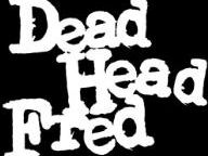 Gaming Today Reviews: Dead Head Fred