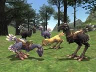 Chocobo’s Mysterious Dungeon TGS trailer