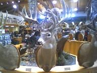 Cabela’s Trophy Bucks Takes Aim at Retail