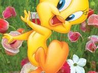 Looney Tunes: Acme Arsenal Demo Out on XBLM