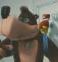 killzone2flop