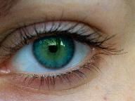 Double Vision: Nintendo game to be a cure for Vision Problems?