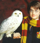 HedwigOwl