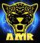 AMRINFORMER
