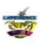 experiencepints