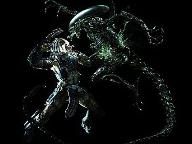 PSP Fanboy interview: Aliens Versus Predator