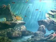 Aqua Vita, Creature Feature and Trials of Topoq Reviewed