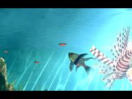 PS3 Addict reviews Aqua Vita