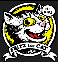 Felis_Rufus