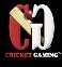 CricketGaming