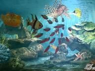 IGN Aquatopia Impressions: It’s a Fish Tank