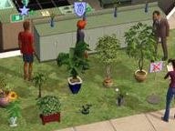 Review: Real Life MMOG