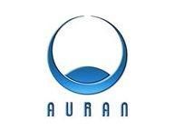 Mass layoffs at Australia’s Auran? The official word from the CEO