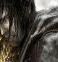 360theAssasinsCreed