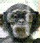 jrturner0112