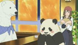 Polar Bear’s Café Creator Comments Further on Anime