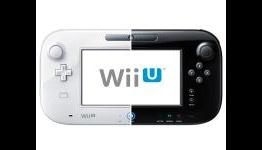 Nintendo Stocks Fall, Wii U Price Speculation