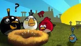 An Angry Man To Angry Birds