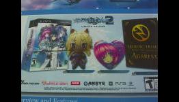 Finally, A Look At Record of Agarest War 2′s Inflatable Doll