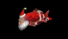 Is Seaman returning by year’s end?