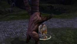 Dungeons and Dragons Online Druid Class