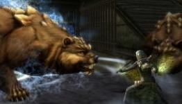 DDO Druid: Getting Started