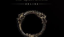 Will Elder Scrolls Online be a unique MMO experience, or another WOW?