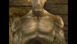 After Pressing Start: Waking Up In Morrowind. Twice.