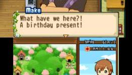 Review: Harvest Moon: The Tale of Two Towns (This Is My Joystick)