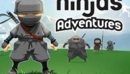 Never Laugh At The Short Ninja – Mini Ninja Adventures Review [Wanderson75.net]