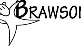Brawsome Games Interview
