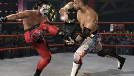 WWE ’13 Designer Wants Another TNA Video Game