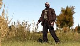 DayZ for the rest of us: beans and boggling town names