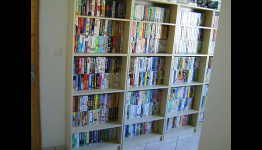 Biggest collection of video games ever sold by 1.000.000 €
