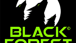 Spellbound Entertainment Has Returned, As Black Forest Games