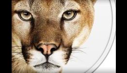 Apple Store overnights happening July 24. Mountain Lion launch the next day