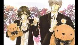 Junjō Romantica Manga Volume 16 to Bundle Anime DVD