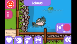 5 things you didn’t know you could do in UrZoo!