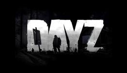 DayZ could be standalone “before Christmas,” base-building and more on cards