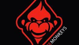 EA merges Iron Monkey and Firemint