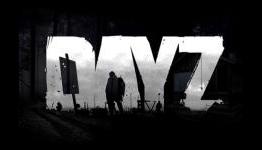 ‘Day Z’ is multiplayer survival horror done right