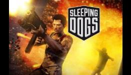 Sleeping Dogs Q&A with Executive Producer