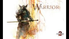 Guild Wars 2 Warrior Profession Guide