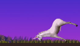 Foddy once again mystifies gamers with ‘CLOP’