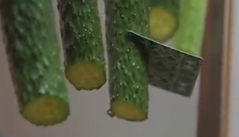 Introducing The Cucumber Ninja