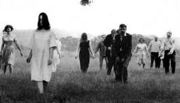 For The Love Of Zombies: Why We Adore The Undead