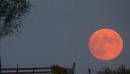 “Because I’m still in love with you, on this harvest moon.”