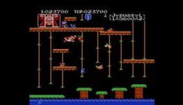 Donkey Kong Jr review – ONM