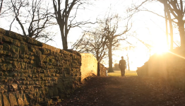 Size Matters: Are Short Films Superior Cinema?